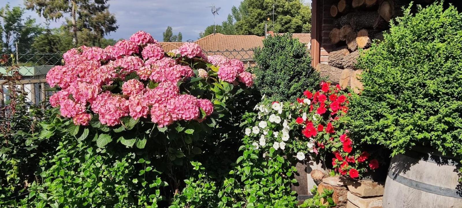 Daroca de Rioja Casa Almoravidヴィラ エクステリア 写真